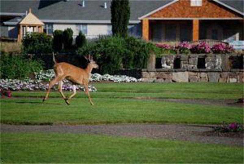 Oregon Garden Resort Silverton Exterior foto